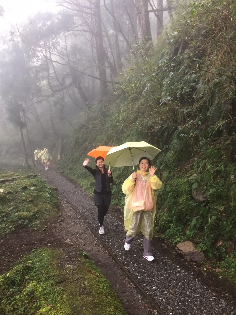瀏覽該花絮圖片..