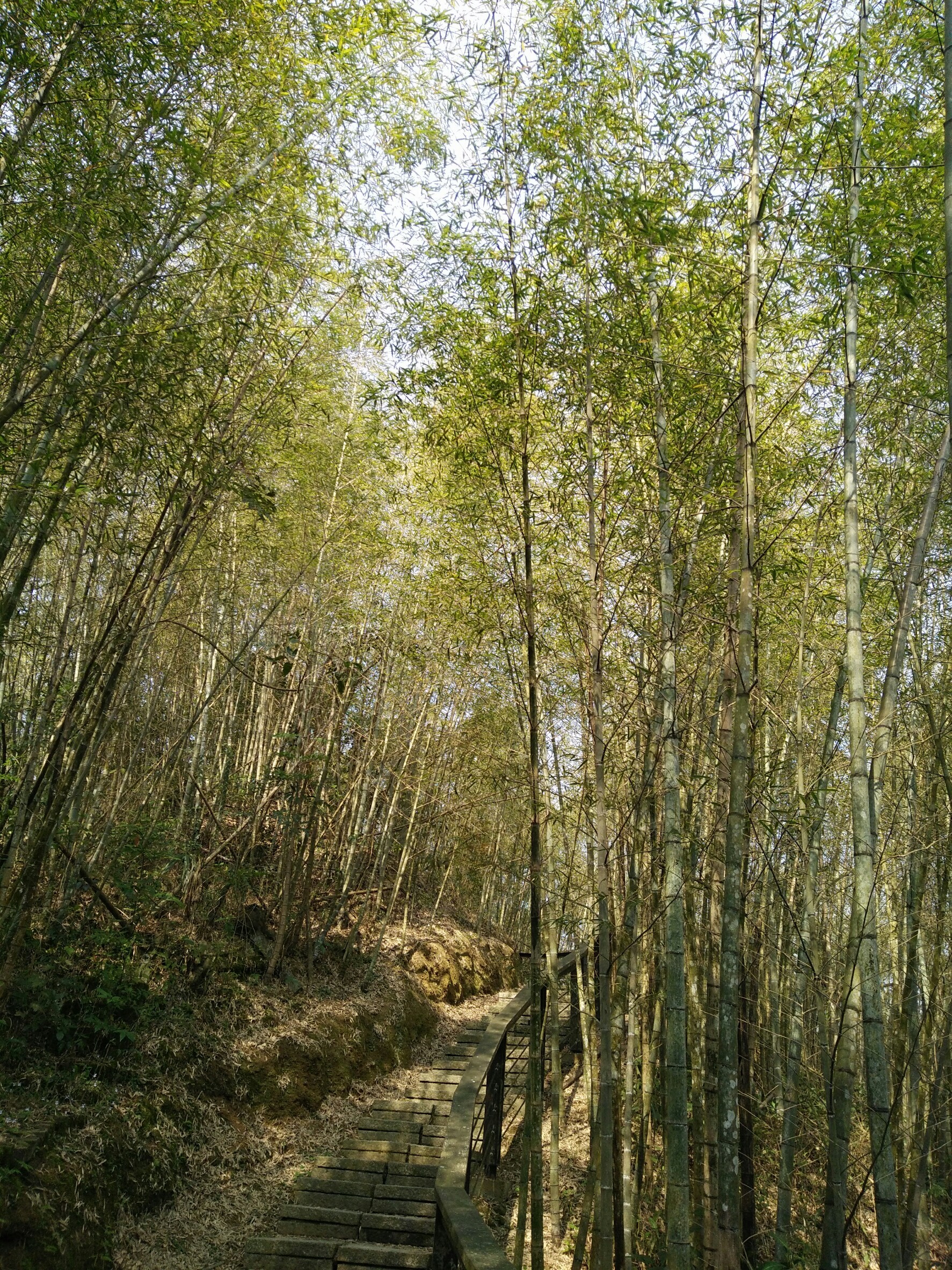 瀏覽該花絮圖片..